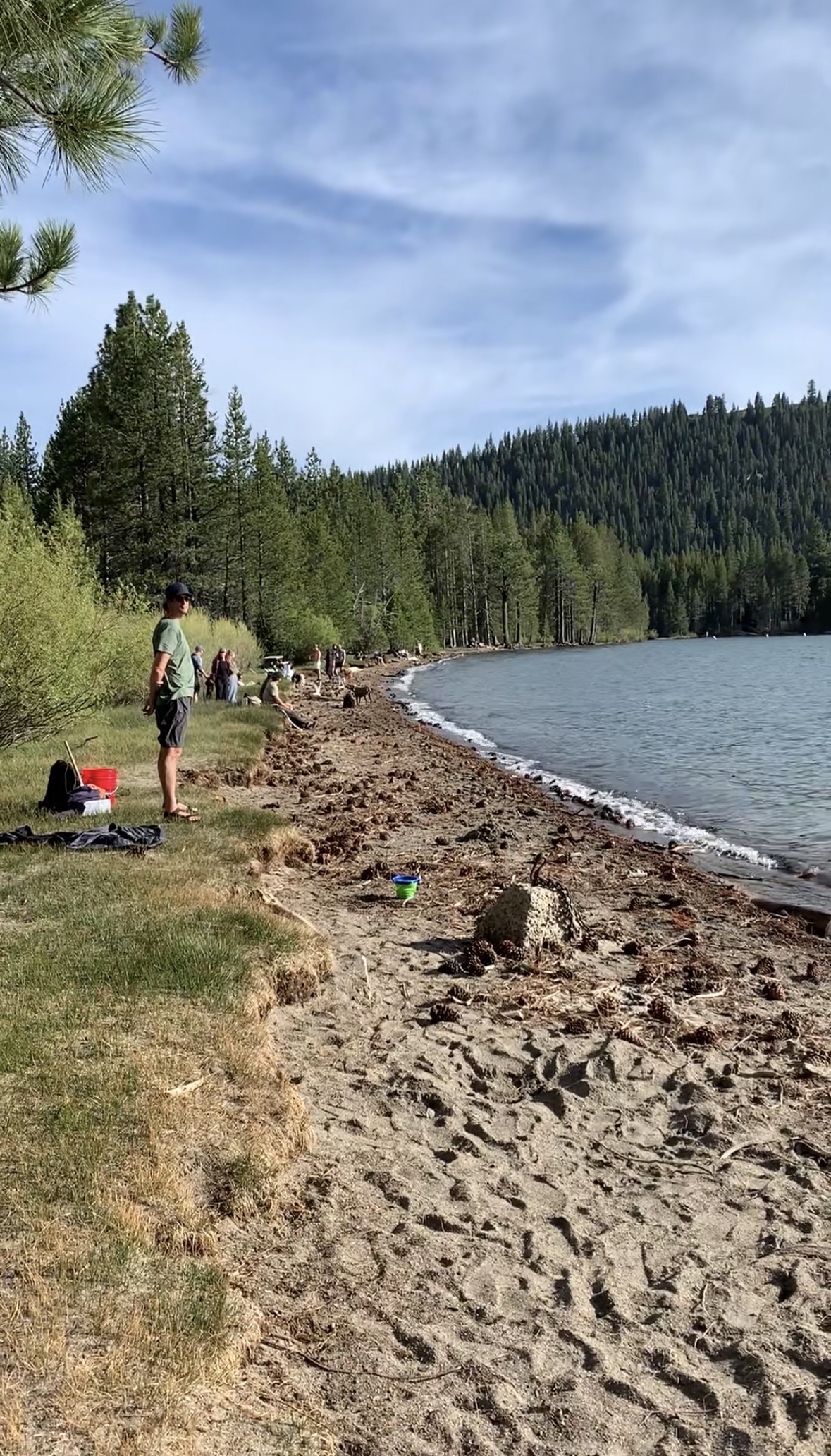 People and dogs along the sandy, dog-friendly shore of Donner Lake near Truckee, with pine forest and mountains beyond