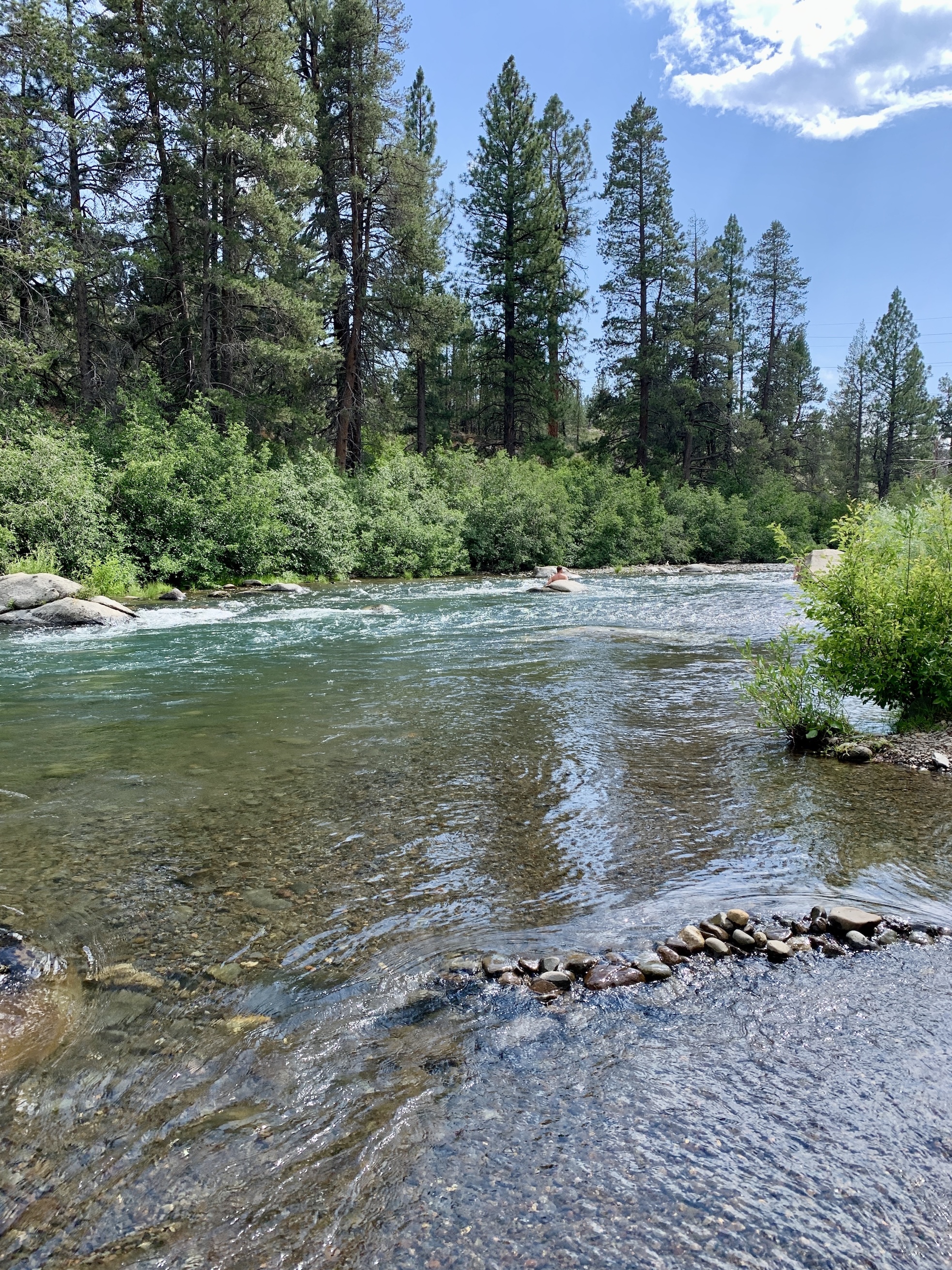A summer floater drifting down the Truckee River through the pines