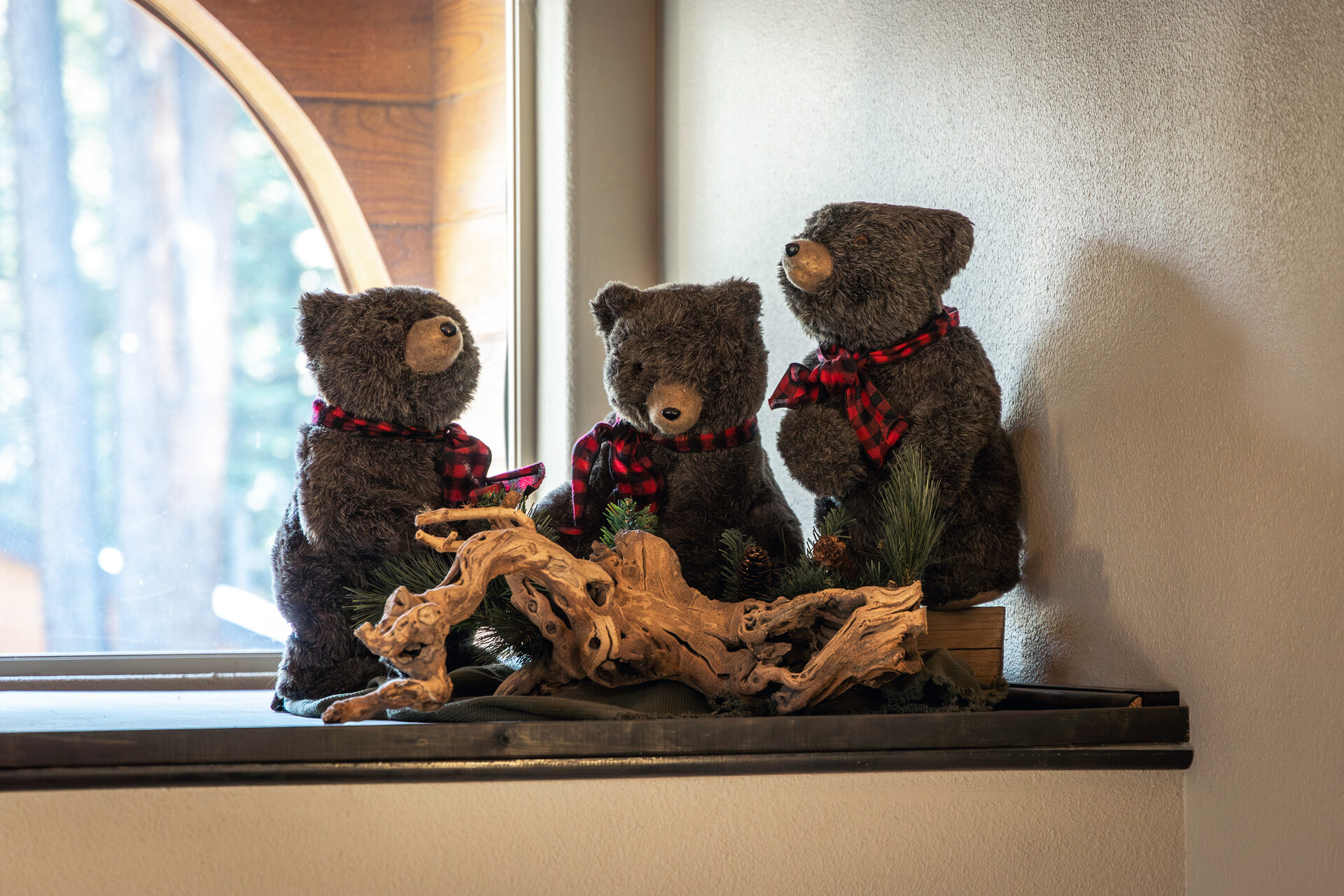 Adorable stuffed bears